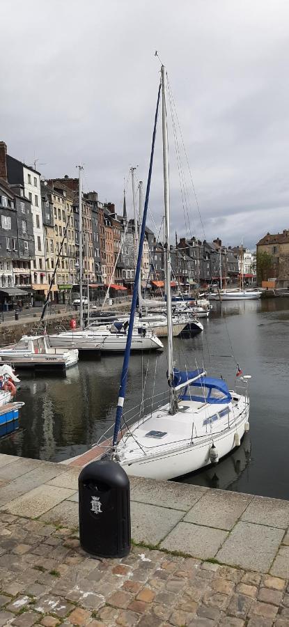 Le Maurifleur Vous Accueille A 3 Km De Honfleur Apartment Equemauville Exterior photo