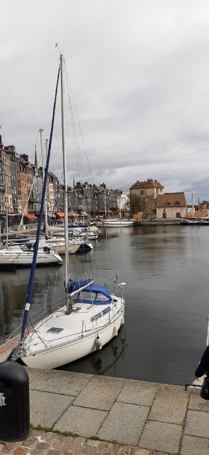 Le Maurifleur Vous Accueille A 3 Km De Honfleur Apartment Equemauville Exterior photo